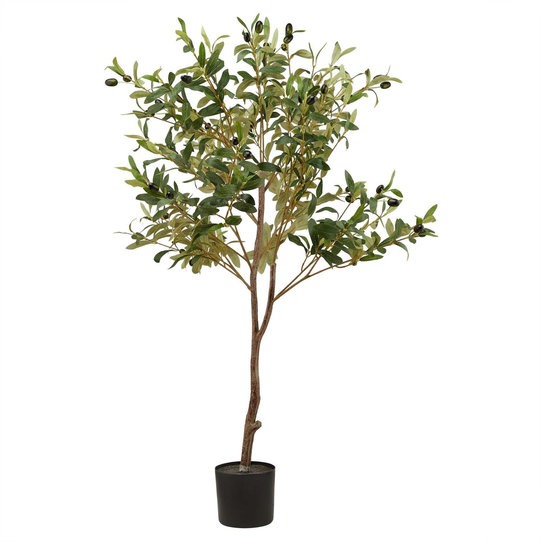 Small-scale faux olive tree with textured trunk and lifelike foliage in a black pot.