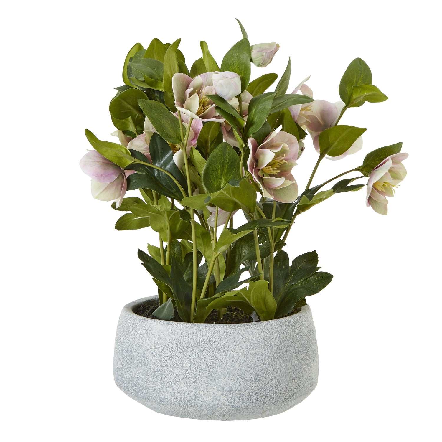 Faux pink Hellebore plant with variegated blooms in grey ceramic pot.