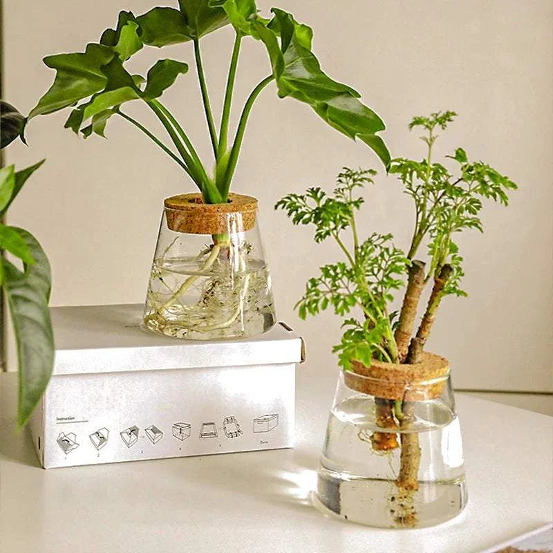 Volcanic style vase with wooden cap, glass bottle, and bamboo base displaying plants.