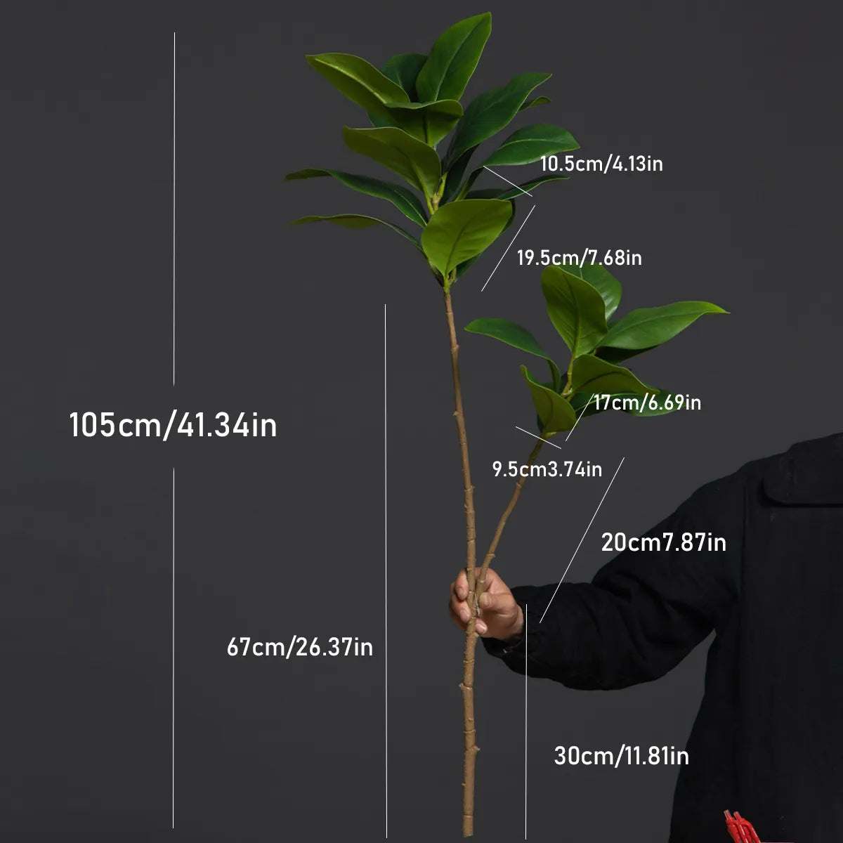 Faux Magnolia Tree Branch with realistic details and measurements in hand.