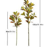 Faux autumn Ficus Plant