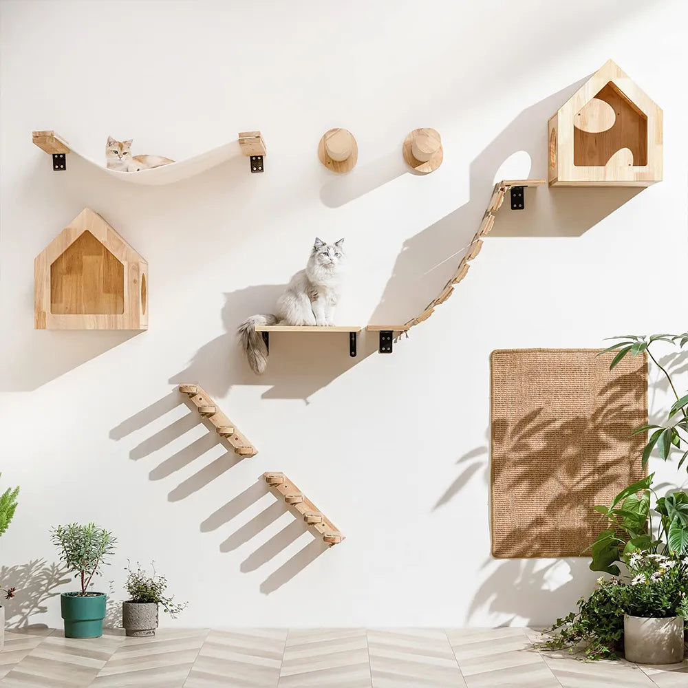 Cat climbing shelf wall setup with multiple wooden elements for play and rest.