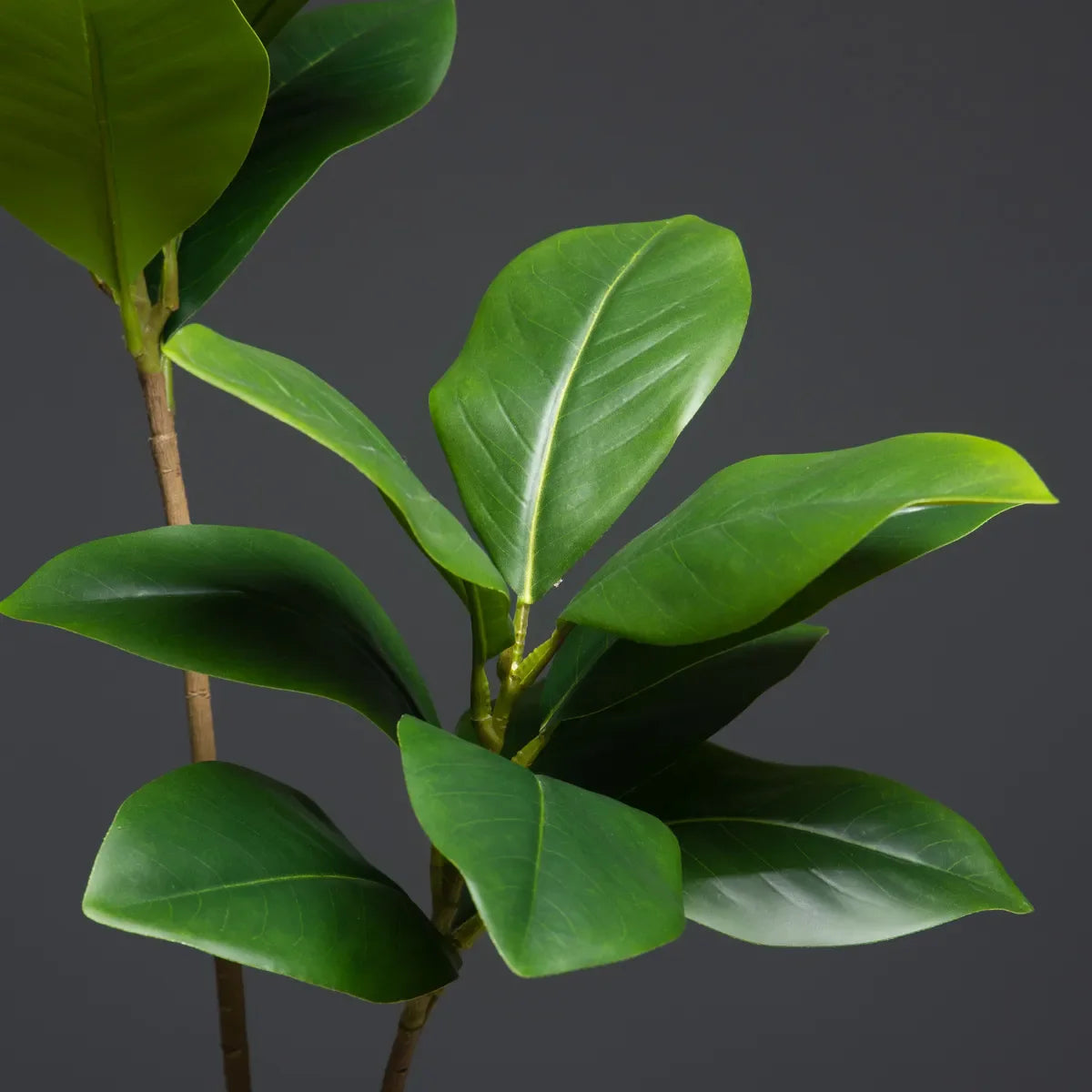 Faux Magnolia Tree Branch with realistic green leaves.
