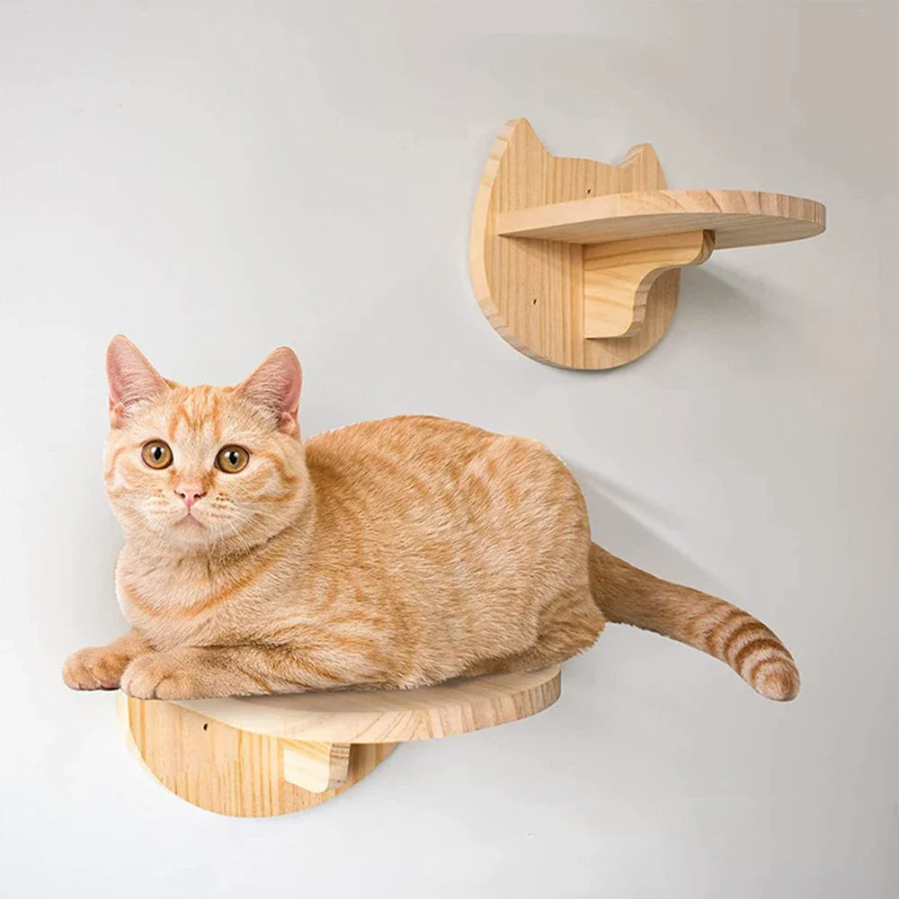 Cat enjoying a sturdy climbing shelf made of natural pine wood, ideal for play and exercise.