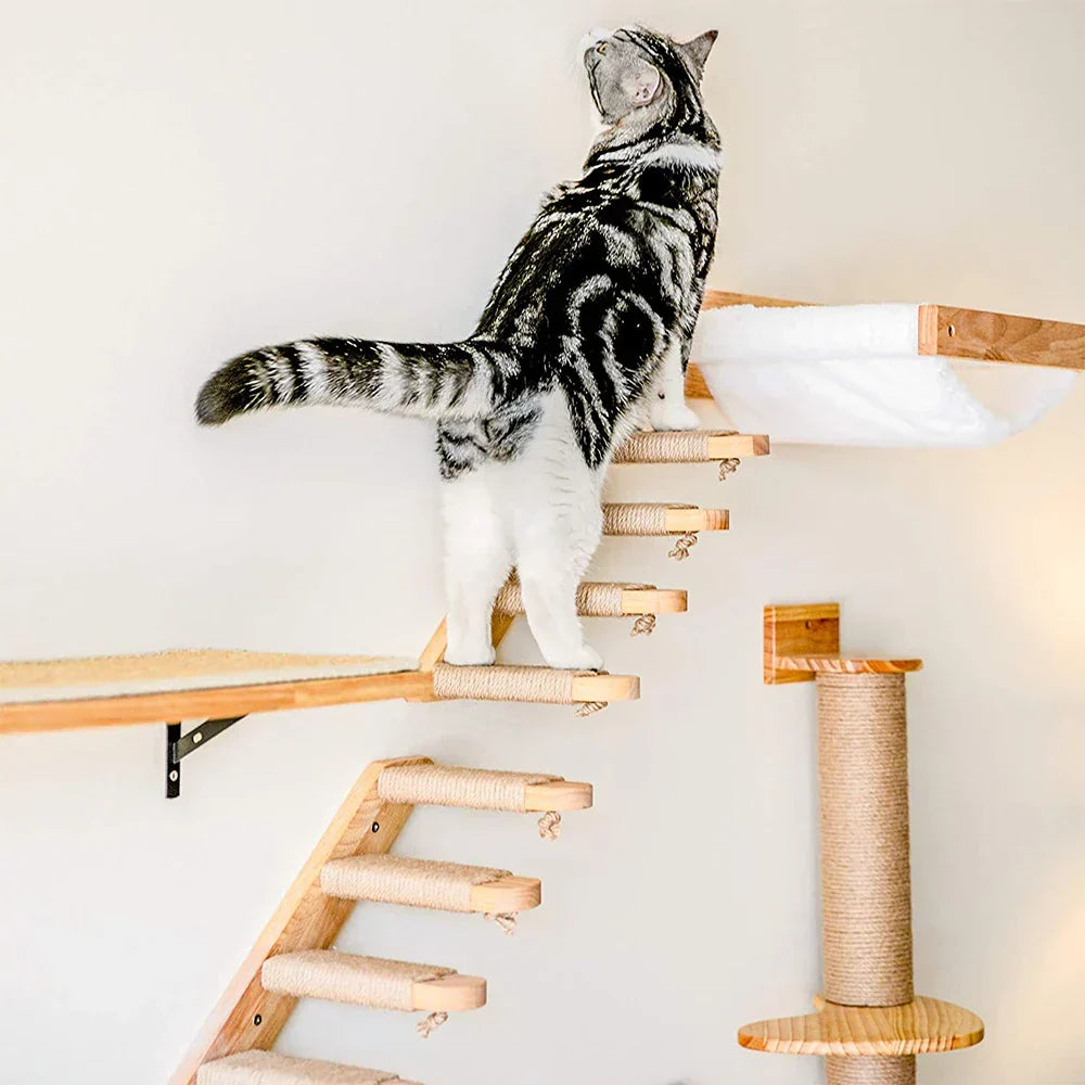 Cat climbing shelf with stairs and perch, featuring a cat exploring and playing.