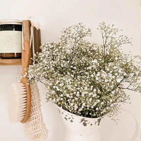 White Natural Dried Gypsophila