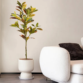 Faux autumn Ficus Plant